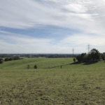 Blick ins Freisinger Moor