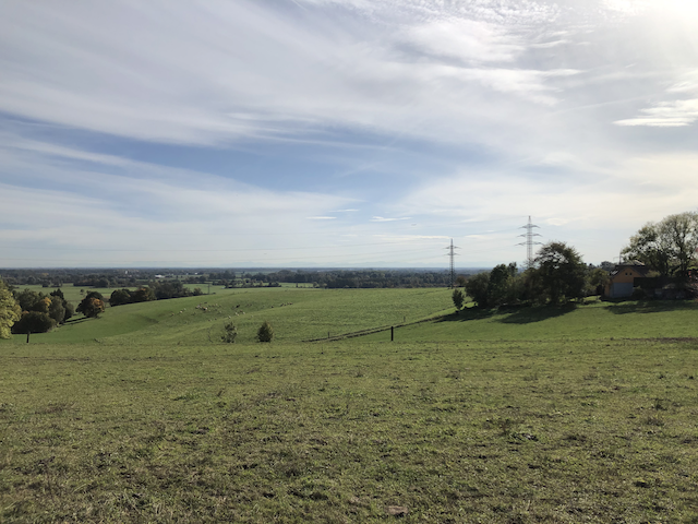 Blick ins Freisinger Moor